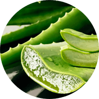 Vitaminas E